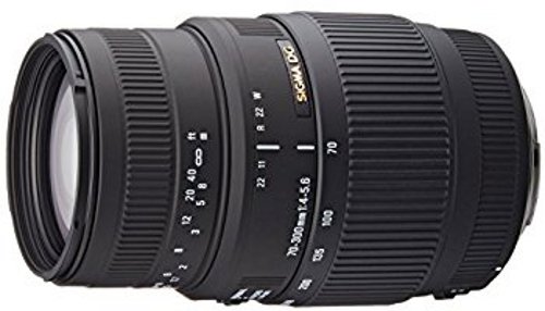 Sigma 70-300mm F4-5.6 DG Macro DSLR Camera Lens