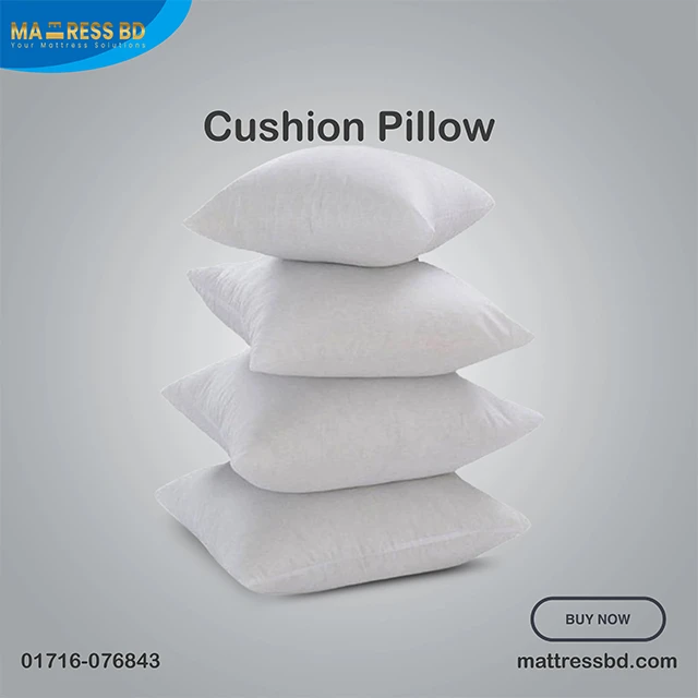 Cushion Pillow