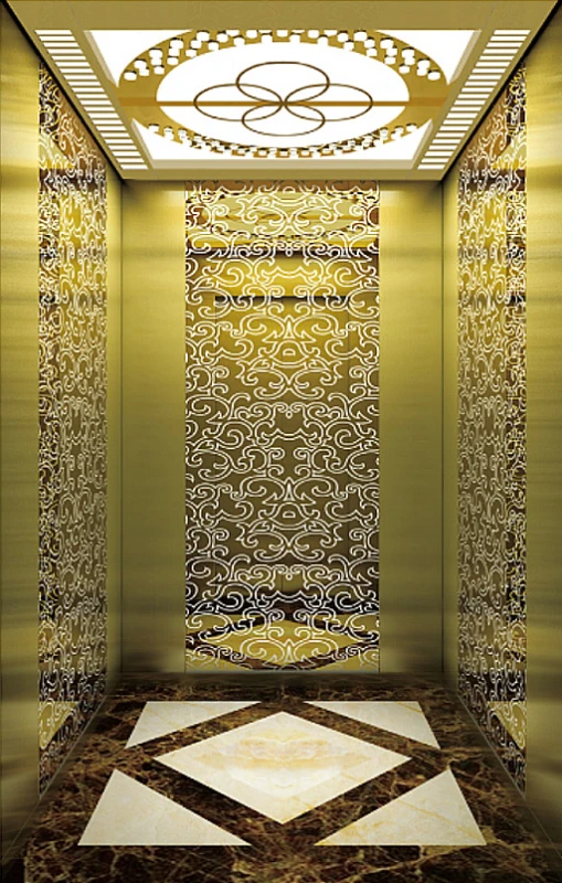 Fuji Elevator Importer in Bangladesh(China)