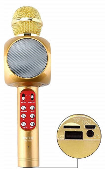 Wster WS-1816 Wireless Karaoke Microphone with Speaker