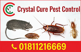 Crystal Cure Pest Control