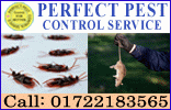 Perfect Pest Control Service